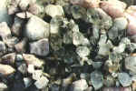 wb-crystals.jpg (205633 bytes)
